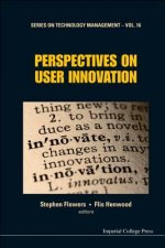 Perspectives On User Innovation