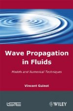 Wave Propagation in Fluids - Models and Numerical Techniques