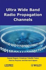 Ultra-Wideband Radio Propagation Channels: A Pract ical Approach