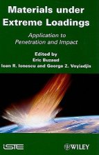 Materials under Extreme Loadings - Application to Penetration and Impact