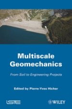 Multiscale Geomechanics