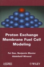 Proton Exchange Membrane Fuel Cells Modeling