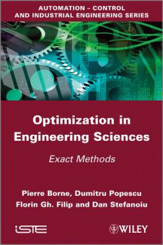Optimization in Engineering Sciences - Exact Methods