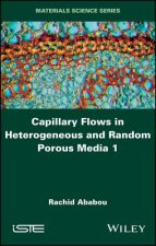 Capillary Flows in Heterogeneous and Random Porous  Media