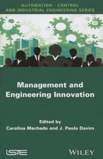 Management and Engineering Innovation