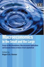 Macroeconomics in the Small and the Large