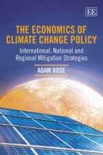 Economics of Climate Change Policy