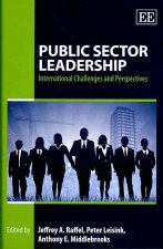 Public Sector Leadership