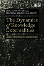 Dynamics of Knowledge Externalities