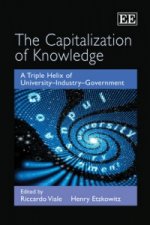Capitalization of Knowledge - A Triple Helix of University-Industry-Government