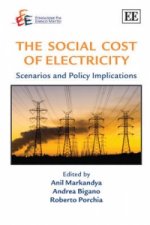 Social Cost of Electricity - Scenarios and Policy Implications