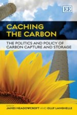 Caching the Carbon - The Politics and Policy of Carbon Capture and Storage