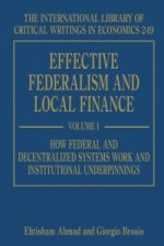 Effective Federalism and Local Finance