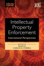 Intellectual Property Enforcement