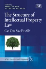Structure of Intellectual Property Law