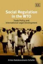 Social Regulation in the WTO - Trade Policy and International Legal Development