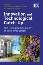 Innovation and Technological Catch-Up