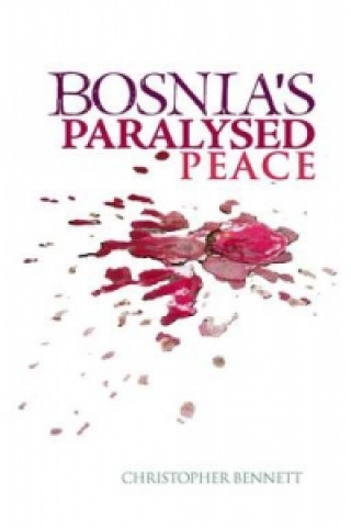 Bosnia's Paralysed Peace