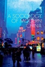 Sociology of Modern China