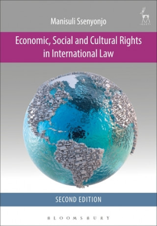 Economic, Social and Cultural Rights in International Law