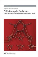 N-Heterocyclic Carbenes