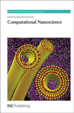 Computational Nanoscience