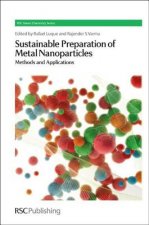 Sustainable Preparation of Metal Nanoparticles