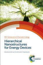 Hierarchical Nanostructures for Energy Devices