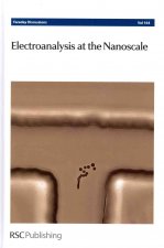 Electroanalysis at the Nanoscale