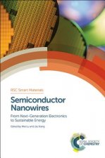 Semiconductor Nanowires