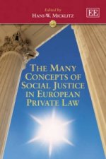 Many Concepts of Social Justice in European Private Law