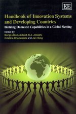 Handbook of Innovation Systems and Developing Countries