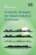 Economic Strategies for Mature Industrial Economies