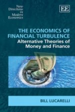 Economics of Financial Turbulence