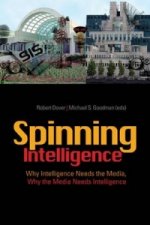 Spinning Intelligence