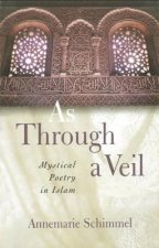 As Through a Veil