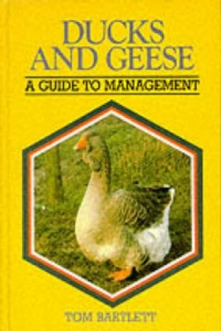 Ducks & Geese