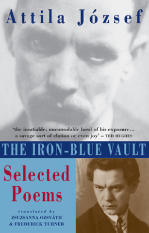 Iron-Blue Vault