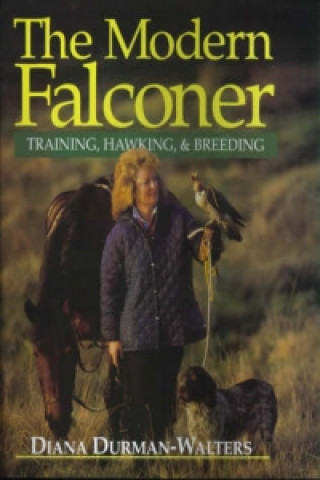 Modern Falconer