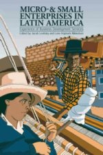 Micro- and Small Enterprises in Latin America