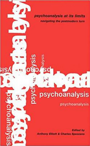 Psychoanalysis at Its Limits