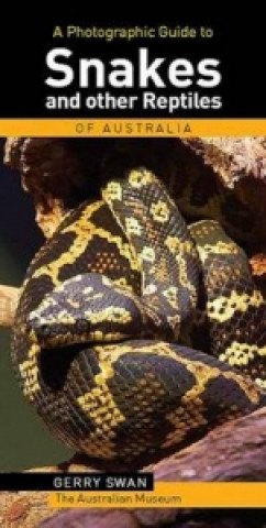 Photographic Guide to Snakes and Reptiles of Australia