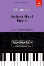 Sixteen Short Pieces
