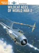 Wildcat Aces of World War 2