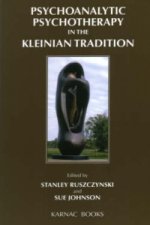 Psychoanalytic Psychotherapy in the Kleinian Tradition