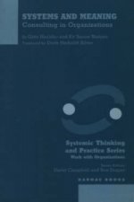 Systems and Meaning