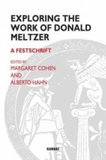 Exploring the Work of Donald Meltzer