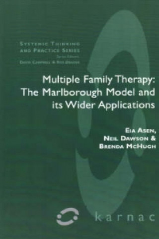 Multiple Family Therapy