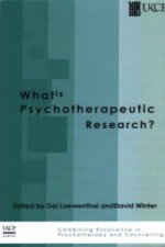 What is Psychotherapeutic Research?