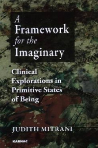Framework for the Imaginary